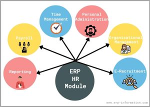 نظام ERP في إدارة الموارد البشرية